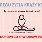 krewwwww.jpg