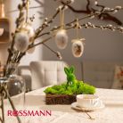 0025_rsmn-wlkn-01.jpg