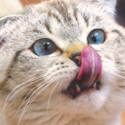 3_600x600.png