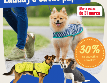 12_marca_dark.png