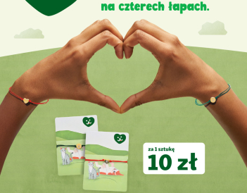 25-09-29-CSR_bransoletki-baner-some-fb-bez.jpg
