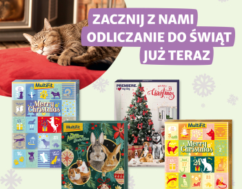 251106-MZoo-11-11-leaflet-product-carousel-1200x1200-1_2_1.jpg